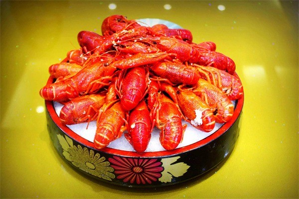 高邮湖清水龙虾